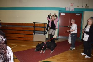 Kiss the Pig, Jackson Elementary School, Plainville, MA