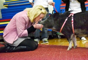Kiss the Pig, Jackson Elementary School, Plainville, MA