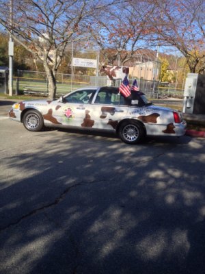 The New Car at the 2014 Veterans Day Parade