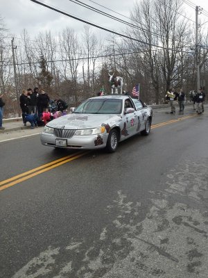 Audrey driving the cow car in the West Warwick St Patricks Day Parade.
