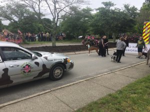 2018 Memorial Day Parades
