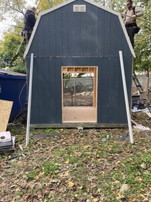 A new barn for Gilligan and Mojo